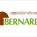 logo bernardi